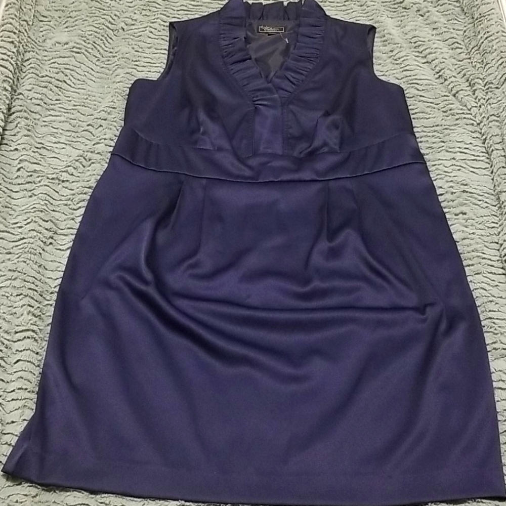 COPY - NWOT Collection dressbarn Size 16